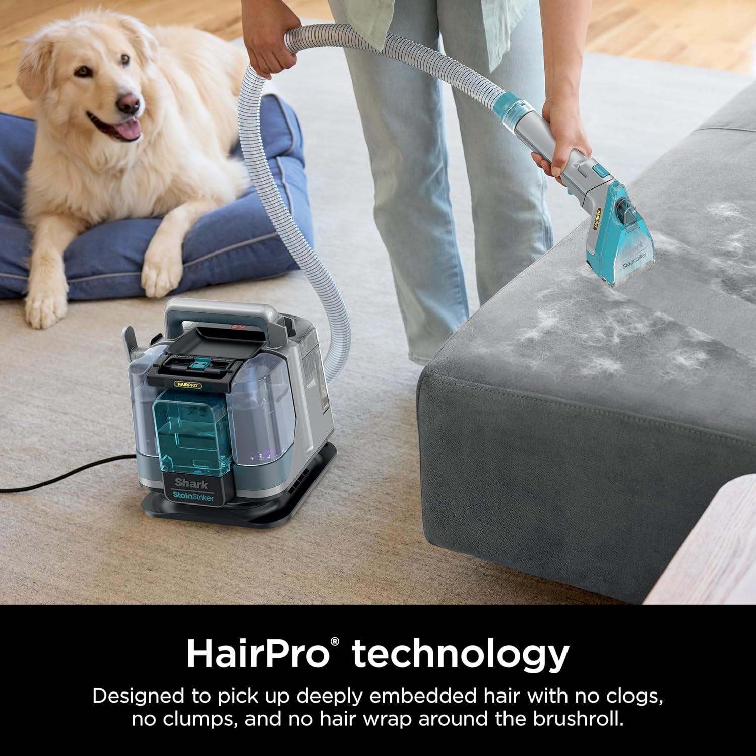 🌬️Portable Carpet, Upholstery & Area Rug Cleaner with Pet Mess Tool, Stain & Odor Remover, Perfect for Car Interiors, Includes 3 Cleaning Tools & Cleaning Solution, White🏆