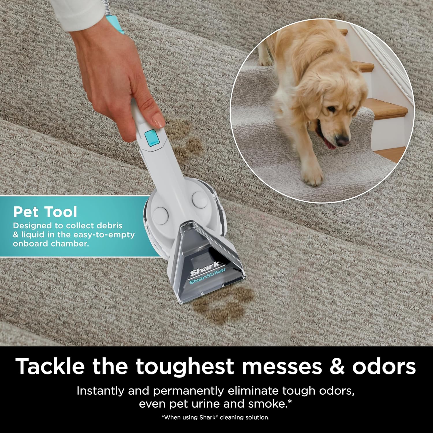 🌬️Portable Carpet, Upholstery & Area Rug Cleaner with Pet Mess Tool, Stain & Odor Remover, Perfect for Car Interiors, Includes 3 Cleaning Tools & Cleaning Solution, White🏆